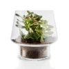 Eva Solo Sukkulent Glasvase 21 Cm -Nordisk Elegance 5706631202886