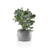 Eva Solo Stone Urtepotte 16 Cm -Nordisk Elegance 5706631207232
