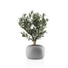 Eva Solo Stone Urtepotte 19 Cm -Nordisk Elegance 5706631207256